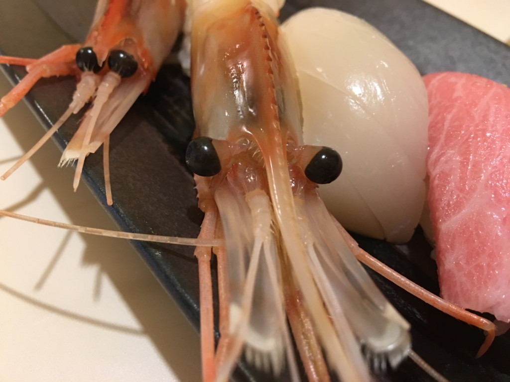 網走の海鮮居酒屋 鮨ダイニングkiyomasaのメニューとおすすめ料理 ブリュの公式ブログ Com For Boo Boo