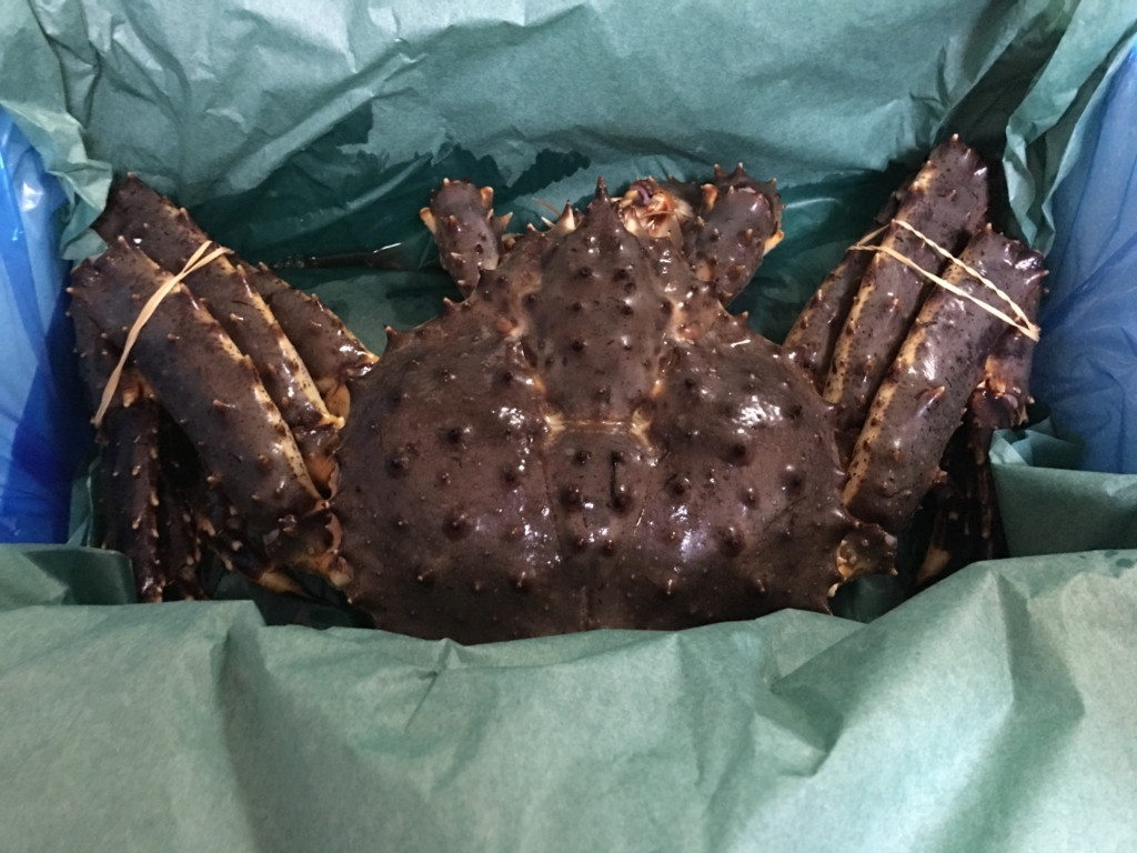 タラバガニをハサミだけで捌く方法 刺身 焼きがに かに鍋用 ブリュの公式ブログ Com For Boo Boo